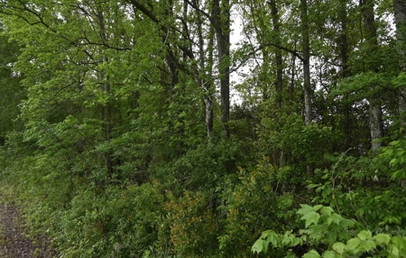 Land For Sale in Hartsville, SC - image 30