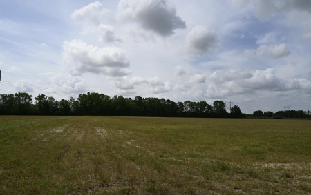 Land For Sale in Hartsville, SC - image 11