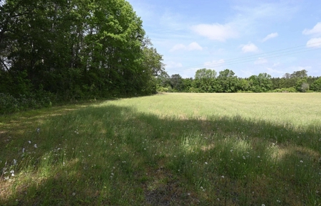 Land For Sale in Hartsville, SC - image 16