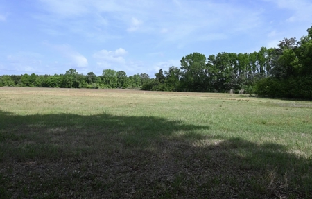 Land For Sale in Hartsville, SC - image 26