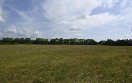 Land For Sale in Hartsville, SC - image 20