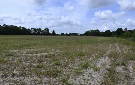 Land For Sale in Hartsville, SC - image 9