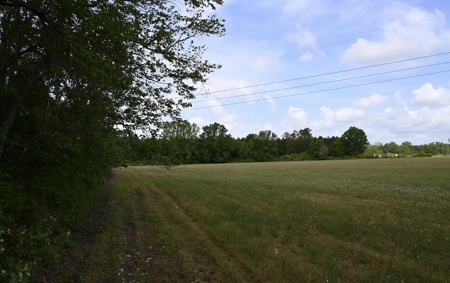 Land For Sale in Hartsville, SC - image 14