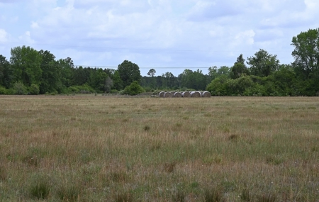 Land For Sale in Hartsville, SC - image 8