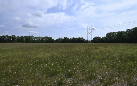 Land For Sale in Hartsville, SC - image 19