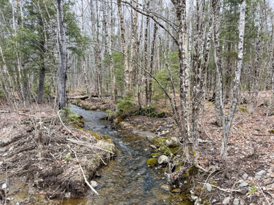46.8 Acres of Maine Land for Sale – Remote and Forested - image 9