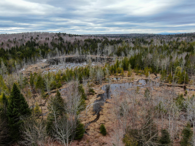 46.8 Acres of Maine Land for Sale – Remote and Forested - image 2