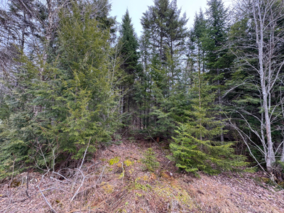 46.8 Acres of Maine Land for Sale – Remote and Forested - image 10