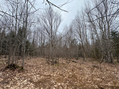 46.8 Acres of Maine Land for Sale – Remote and Forested - image 16