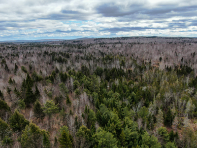 46.8 Acres of Maine Land for Sale – Remote and Forested - image 5