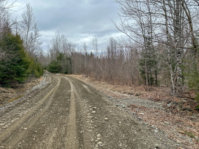 46.8 Acres of Maine Land for Sale – Remote and Forested - image 19