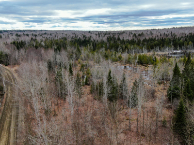 46.8 Acres of Maine Land for Sale – Remote and Forested - image 1