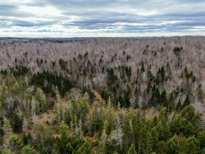 46.8 Acres of Maine Land for Sale – Remote and Forested - image 3