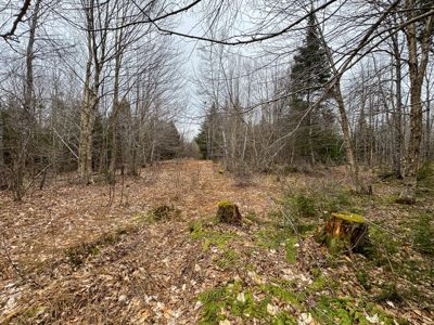46.8 Acres of Maine Land for Sale – Remote and Forested - image 17