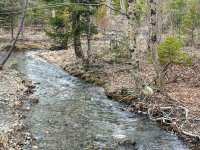 46.8 Acres of Maine Land for Sale – Remote and Forested - image 30
