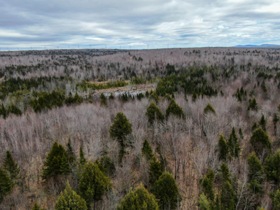 46.8 Acres of Maine Land for Sale – Remote and Forested - image 21