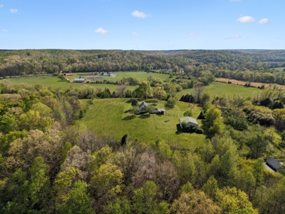 Country Home for Sale in Lewis County, Tennessee - image 43