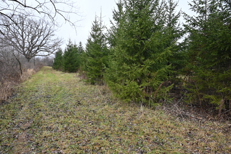 Eaton County MI Top Hunting Property - image 4