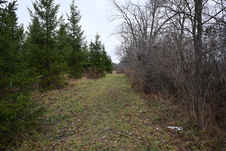 Eaton County MI Top Hunting Property - image 28