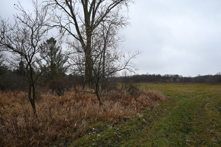 Eaton County MI Top Hunting Property - image 2