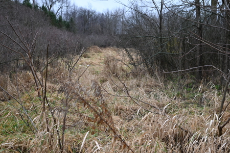 Eaton County MI Top Hunting Property - image 9