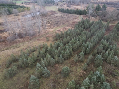 Eaton County MI Top Hunting Property - image 33