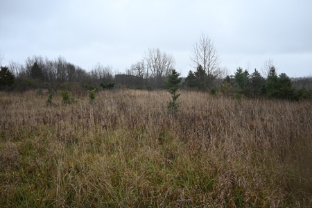 Eaton County MI Top Hunting Property - image 15
