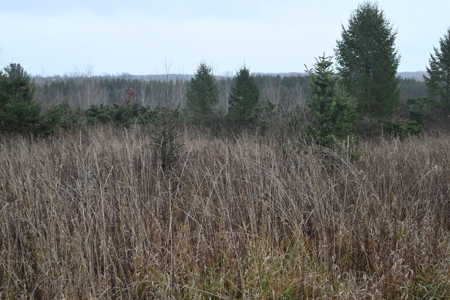 Eaton County MI Top Hunting Property - image 18