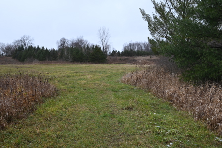 Eaton County MI Top Hunting Property - image 10