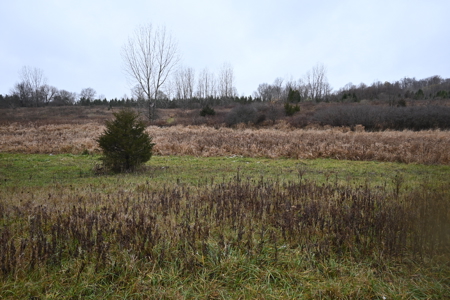 Eaton County MI Top Hunting Property - image 24