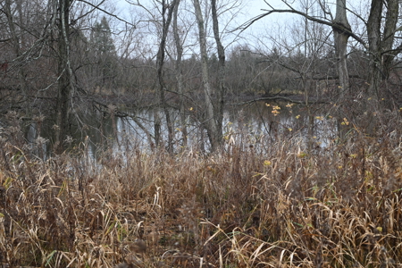 Eaton County MI Top Hunting Property - image 19