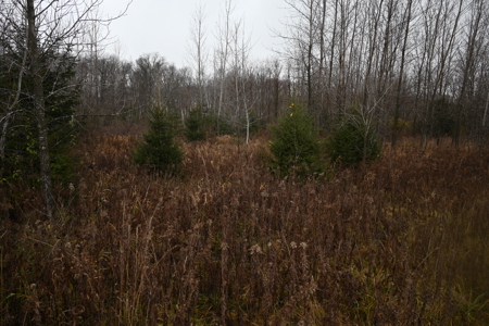 Eaton County MI Top Hunting Property - image 30