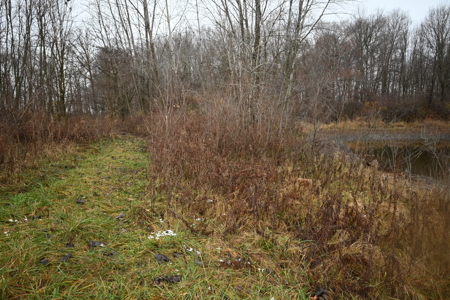 Eaton County MI Top Hunting Property - image 14