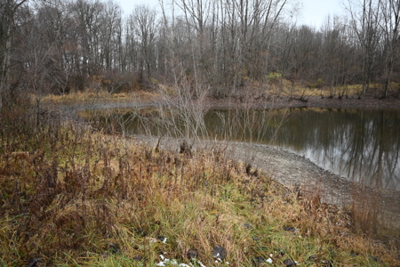 Eaton County MI Top Hunting Property - image 16