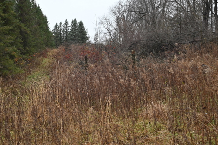 Eaton County MI Top Hunting Property - image 11