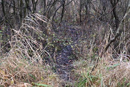 Eaton County MI Top Hunting Property - image 13