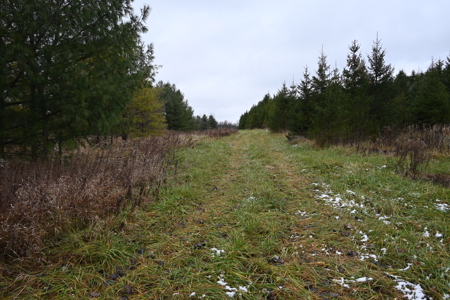 Eaton County MI Top Hunting Property - image 5