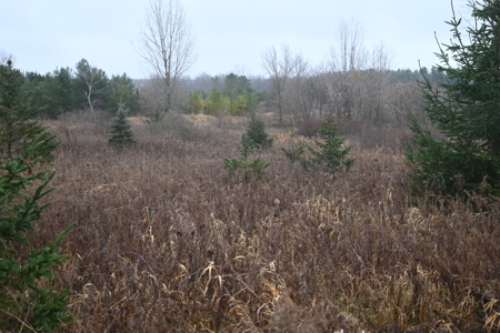 Eaton County MI Top Hunting Property - image 23