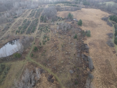 Eaton County MI Top Hunting Property - image 34