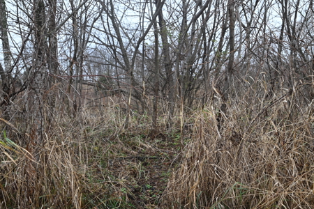 Eaton County MI Top Hunting Property - image 20