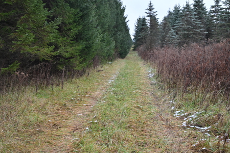 Eaton County MI Top Hunting Property - image 3
