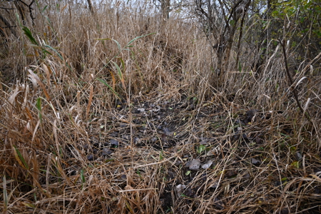 Eaton County MI Top Hunting Property - image 6
