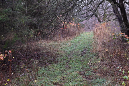 Eaton County MI Top Hunting Property - image 17