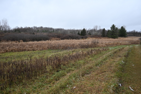 Eaton County MI Top Hunting Property - image 27