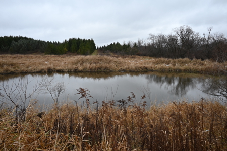 Eaton County MI Top Hunting Property - image 31