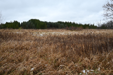 Eaton County MI Top Hunting Property - image 7