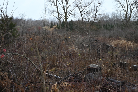 Eaton County MI Top Hunting Property - image 12