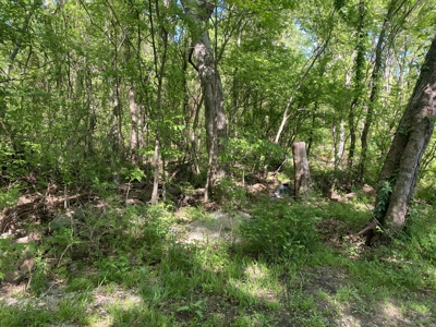 Nice Lot with Mobile Home near Mountain View - image 4
