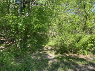 Nice Lot with Mobile Home near Mountain View - image 11