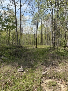 Country Home for Sale in Perry County, Tennessee - image 15